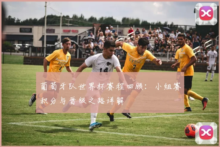 葡萄牙队世界杯赛程回顾：小组赛积分与晋级之路详解
