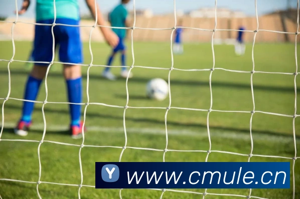 App Interface Preview