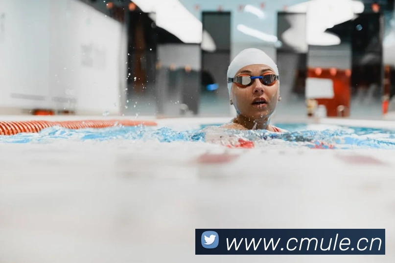 开云手机入口登录官网APP 封面图